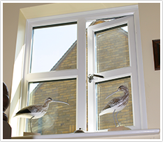 PVCu Double Glazing Services